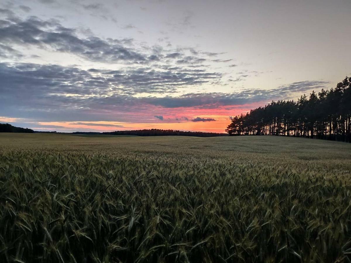 Stawy U Sikory - Dom Rybak - Agroturystyka I Lowisko Nowa Wies  Esterno foto