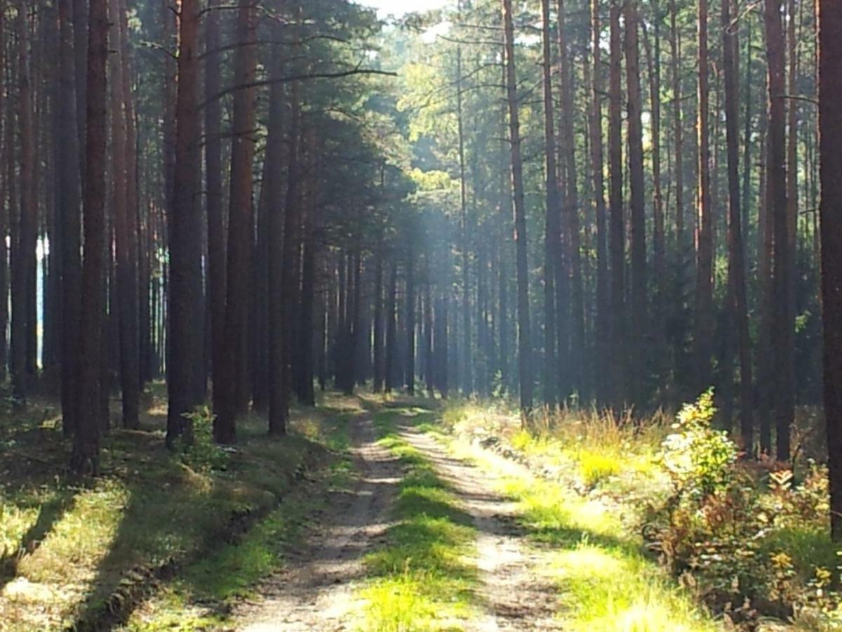 Stawy U Sikory - Dom Rybak - Agroturystyka I Lowisko Nowa Wies  Esterno foto