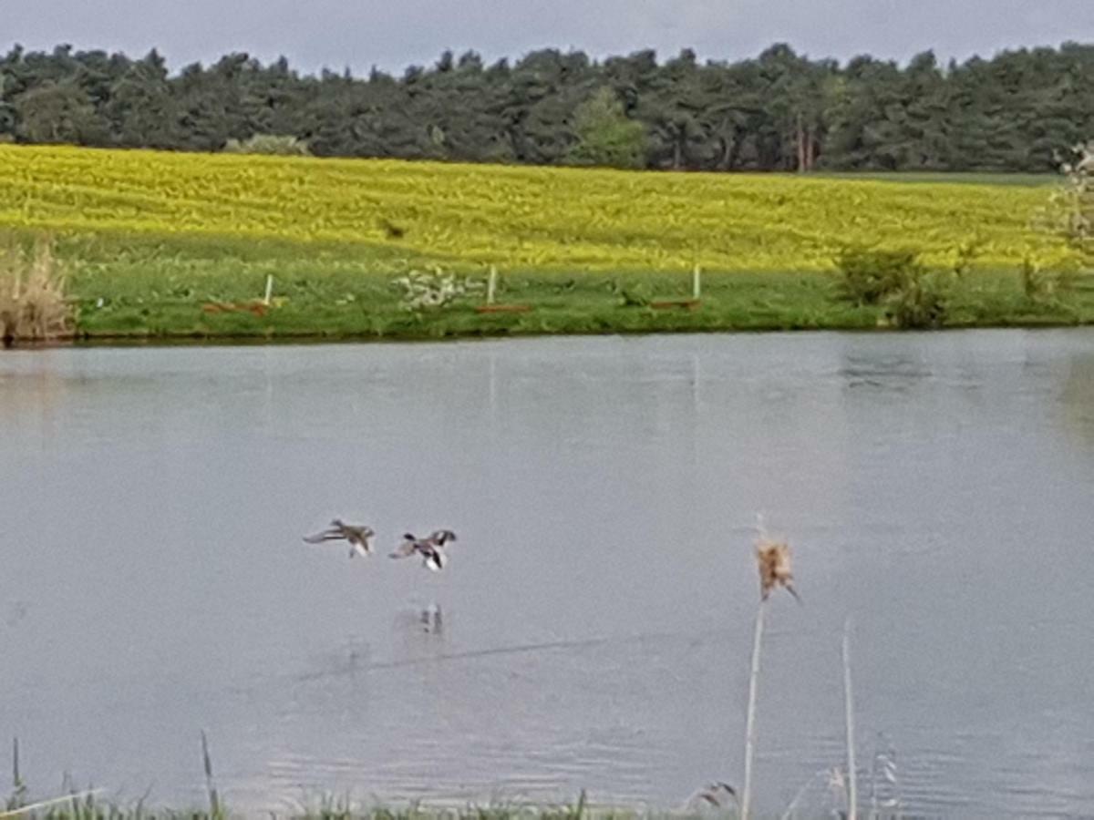 Stawy U Sikory - Dom Rybak - Agroturystyka I Lowisko Nowa Wies  Esterno foto